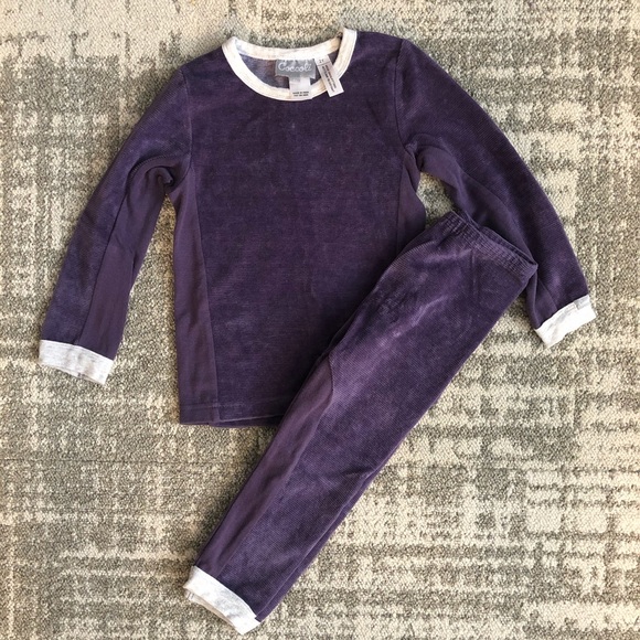 Coccoli Other - NWOT Coccoli 2-piece purple outfit set 2T